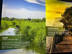 -溱湖国家湿地公园