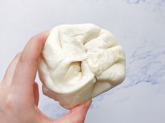 鲜肉大包-袁大头包子(光华路店)