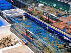 -飞尝蚝·顺德菜·鱼生(顺德总店)