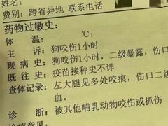 -柴犬高等学院·狗咖·柴犬售卖·宠物训练