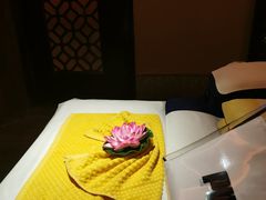 -富侨养生(光大会展店)