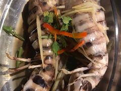 -仙本那渔人码头餐厅