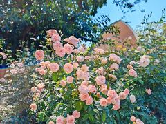 -人民公园(罗湖区)