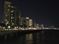 -野狸岛