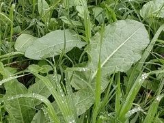 -汉长安城未央宫国家考古遗址公园