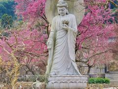-温州博物馆