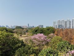 -顺峰山公园