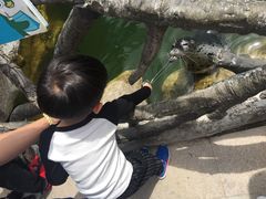 -华夏文旅海洋公园