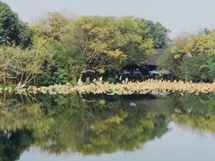 -九里云松·天香餐厅