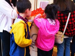 -Koi thé(水坑尾街店)