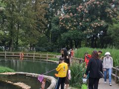 -成都市活水公园