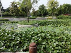 -沣东·沣河生态景区