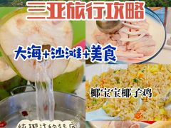 -三亚南山文化旅游区