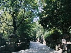 -花溪公园