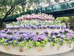 -徐家汇公园