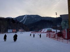 -亚布力新体委滑雪场