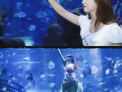 -南昌海洋公园