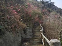 -木兰云雾山