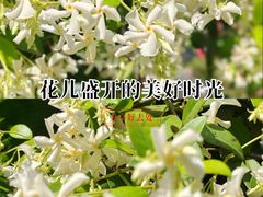 -木塔寺遗址生态公园
