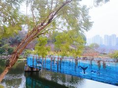 -重庆彩云湖湿地公园