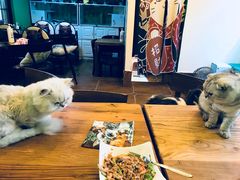-李小姐の猫咖啡馆(五角场店)
