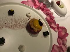 -蝶舍·MAISON PAPILLON