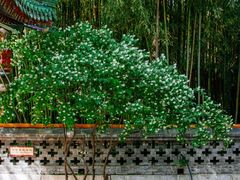 -潭柘寺景区