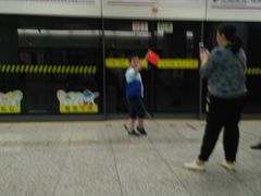 松鼠大桂鱼-绿波廊(豫园店)