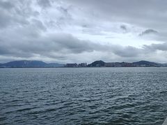 -演武大桥观景平台