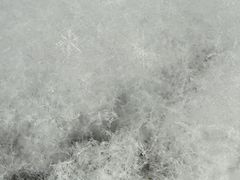 -丁香湖公园