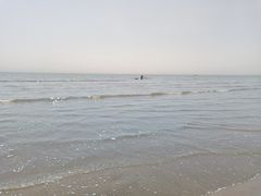 -日照海滨国家森林公园