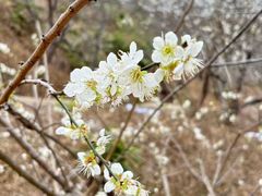 -广州市流溪河国家森林公园
