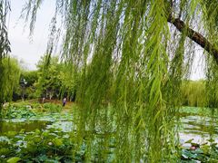 -南翠屏公园