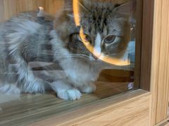 -白兔子密室(长寿路店)