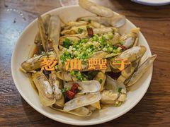 -新楚记