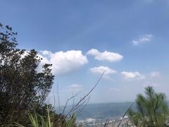 -缙云山景区