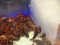 -比尔森韩式烤肉自助(国商店)