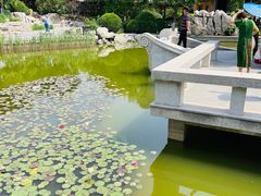 -南普公园