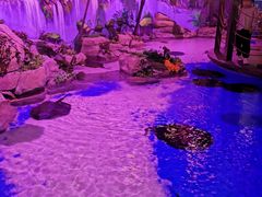 -顺德南宏海立方海洋公园