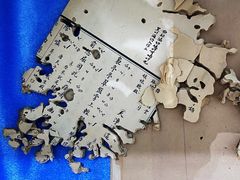 -上海昆虫博物馆