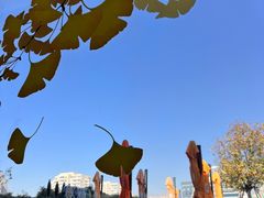 -悦融·京鲁菜·露台花园(安定门店)