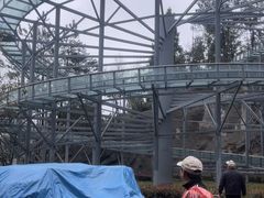 -千岛湖天屿景区