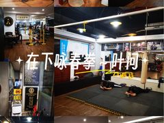-温鉴良实用咏春拳