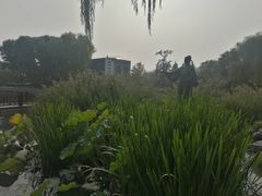 景点-郭守敬纪念馆