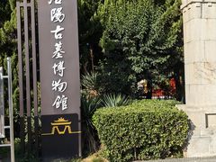 -洛阳古墓博物馆