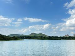 -风云岭森林公园