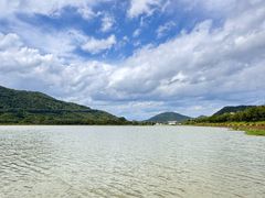 -风云岭森林公园
