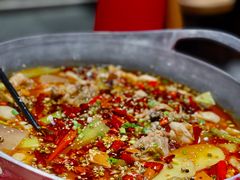 -刘香香·川香红锅美蛙(福田店)
