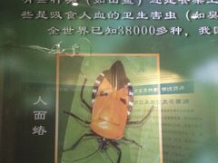 -上海昆虫博物馆