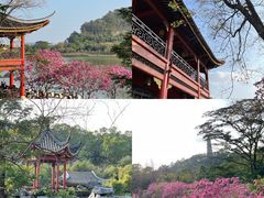 -顺峰山公园